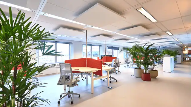 Geluidsabsorberende kantoorruimte met groene planten en moderne werkplekken.