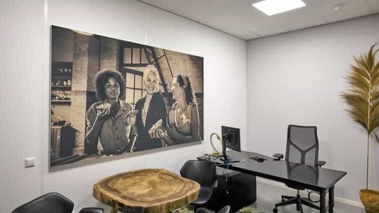 Geluidsabsorber in kantoorruimte voor optimale akoestiek en comfort.